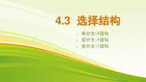 python中的选择结构