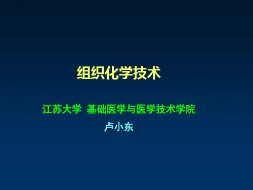免疫组化技术-PPT课件