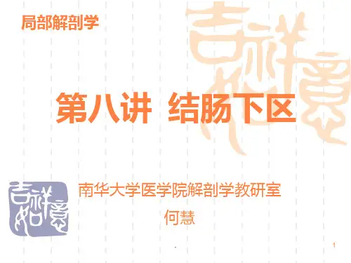 结肠下区局解ppt课件