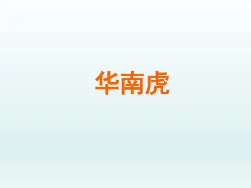 人教版初中七年级语文PPT课件-华南虎