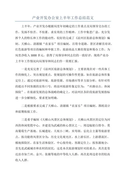 产业开发办公室上半年工作总结范文