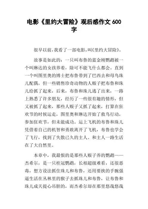 电影里约大冒险观后感作文600字