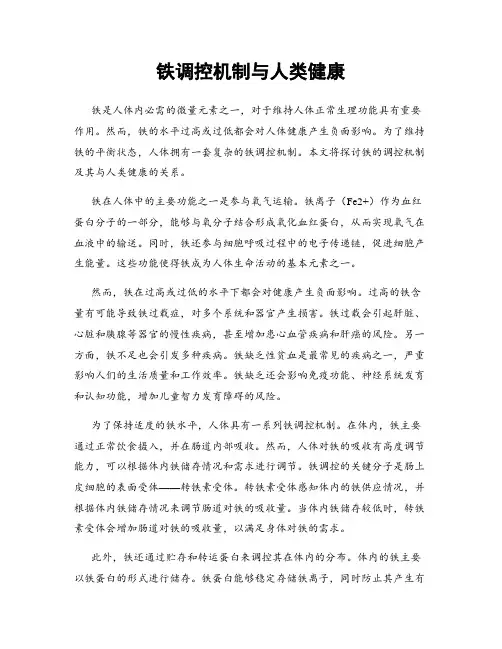 铁调控机制与人类健康