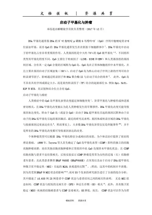 文档：启动子甲基化与肿瘤
