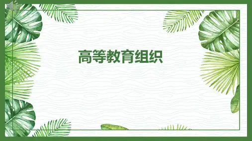 高等教育组织