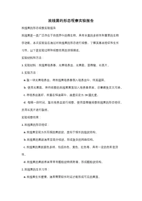 放线菌的形态观察实验报告