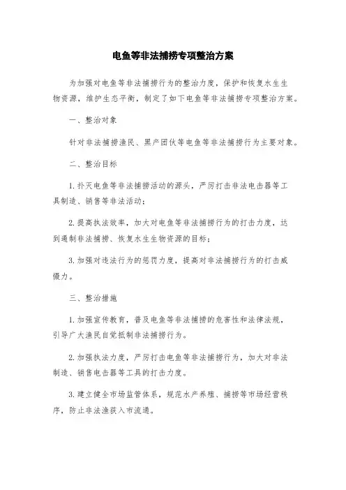 电鱼等非法捕捞专项整治方案