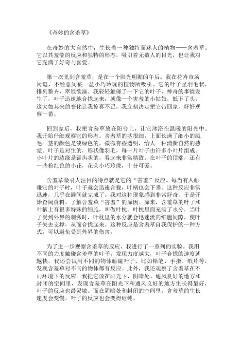 优秀精选：观察含羞草 精选作文
