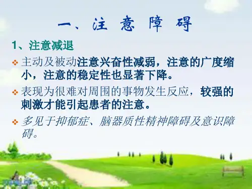 新版常见精神症状培训课件