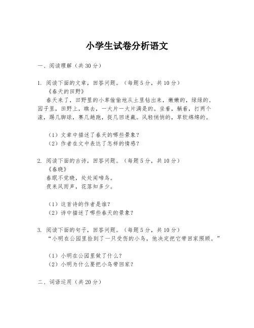 小学生试卷分析语文