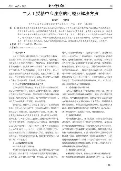 牛人工授精中应注意的问题及解决方法
