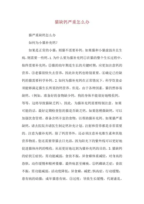 猫缺钙严重怎么办