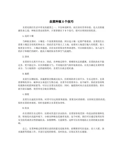 韭菜种植5个技巧