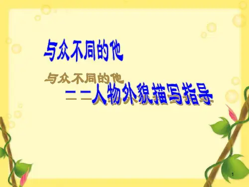 人物外貌描写指导PPT课件