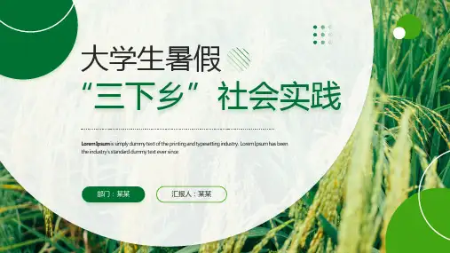 大学生暑假三下乡社会实践PPT课件