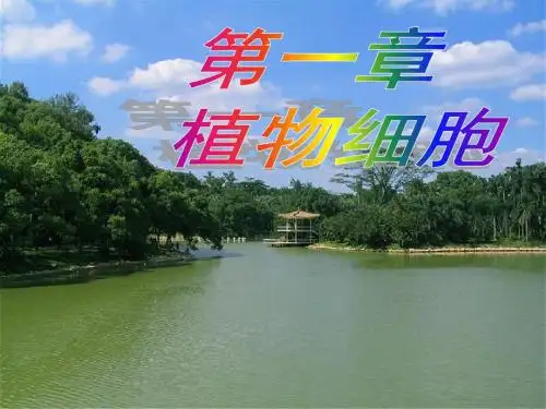 01-植物细胞