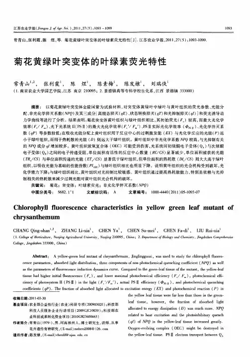 菊花黄绿叶突变体的叶绿素荧光特性