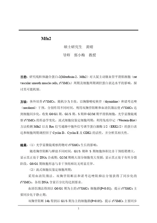 Mfn2基因对血管平滑肌细胞周期影响（1）