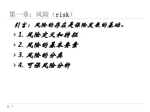 保险学风险PPT演示文稿