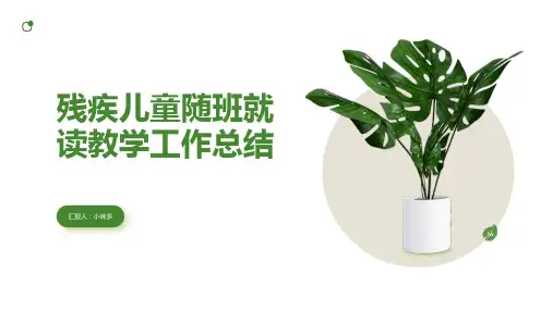 残疾儿童随班就读教学工作总结