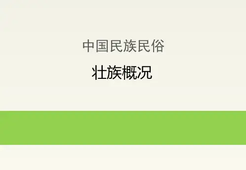 中国民族民俗：壮族概况
