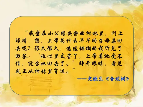 人教部编版语文七年级上册 5《秋天的怀念》课件(16张ppt)最新课件
