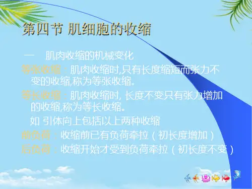 【优文档】肌细胞的收缩PPT