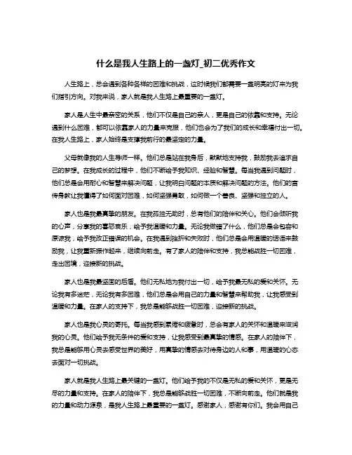 什么是我人生路上的一盏灯_初二优秀作文