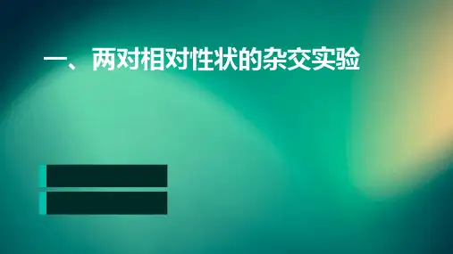 一、两对相对性状的杂交实验