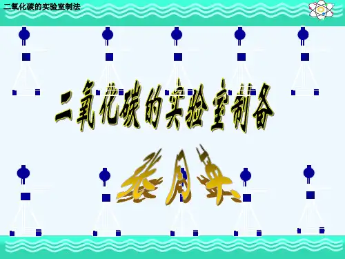 二氧化碳的制备 PPT