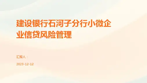 建设银行石河子分行小微企业信贷风险管理