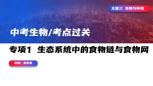 初中生物中考专项训练生态系统食物链食物网