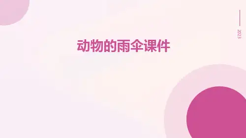 动物的雨伞课件