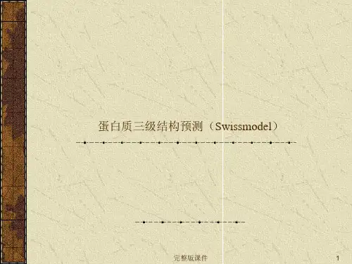 蛋白质三级结构预测ppt课件