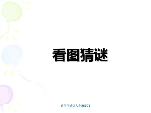 看图猜谜语大全58578