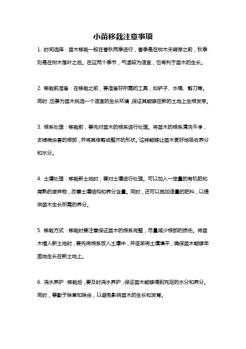 小苗移栽注意事项