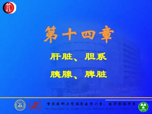 肝胆胰脾1