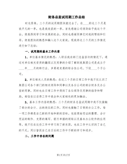 财务总监试用期工作总结(8篇)