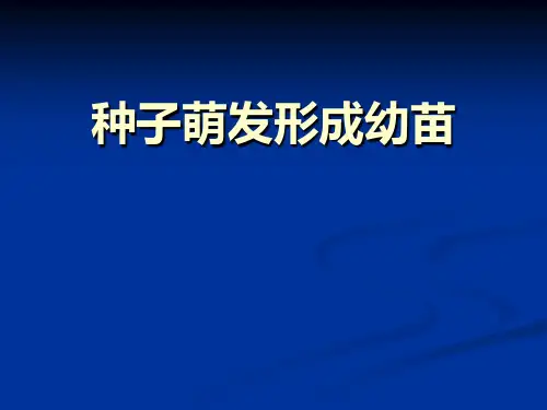 《种子萌发形成幼苗》PPT