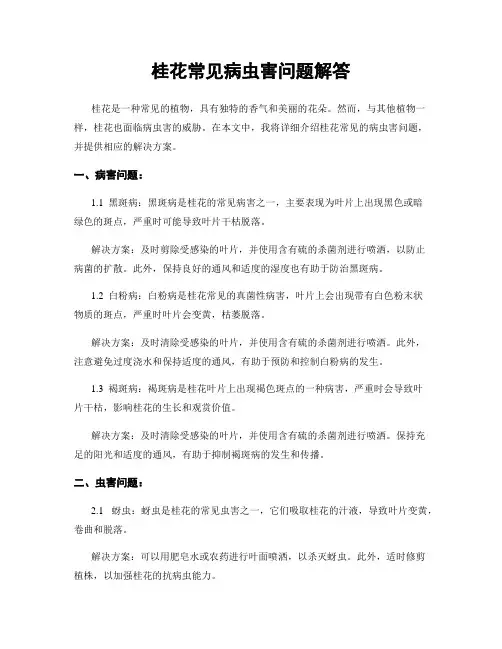 桂花常见病虫害问题解答