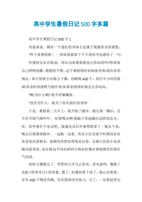 高中学生暑假日记500字多篇