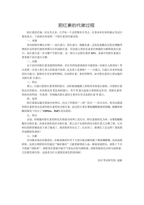 临床生化检验学-胆红素的代谢过程