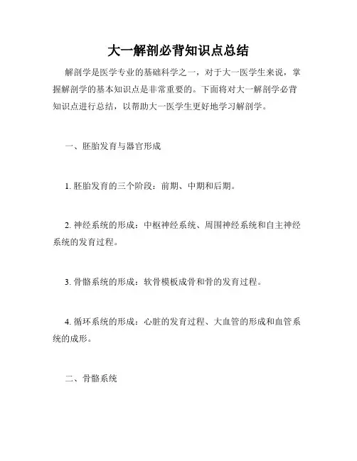 大一解剖必背知识点总结