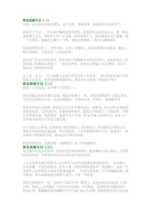 荷花观察日记300字350字：观察荷花的生长过程习作范文