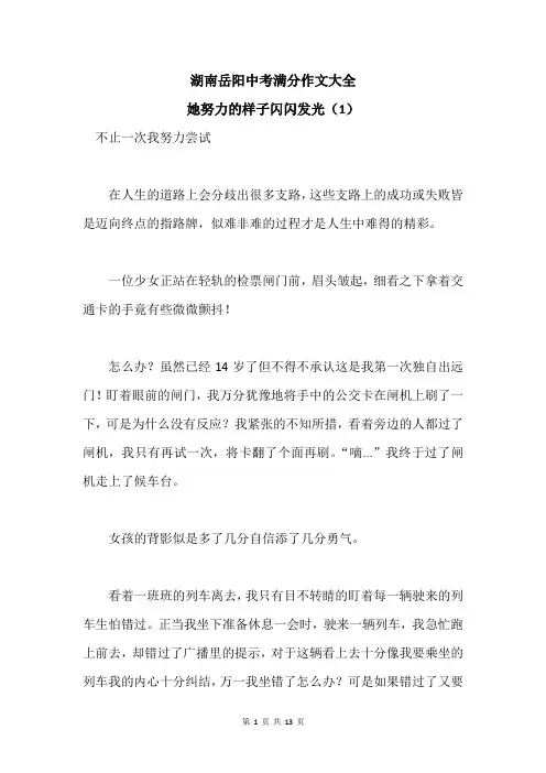 湖南岳阳中考满分作文大全