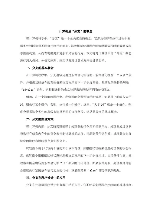 计算机里分支的意思