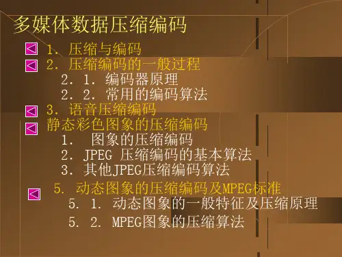 多媒体数据压缩编码