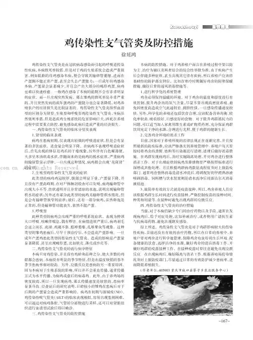 鸡传染性支气管炎及防控措施