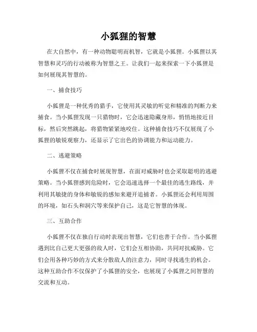 小狐狸的智慧