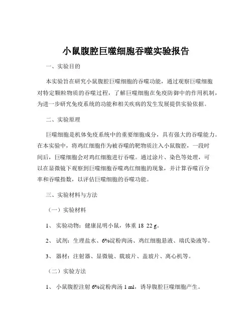 小鼠腹腔巨噬细胞吞噬实验报告